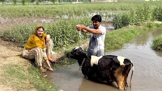 Husband Ky Sath Masti Bhara Din | Village Life With Aliza Sehar