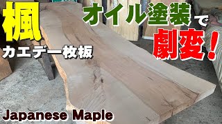 【オイルでギラギラ劇変】イタヤカエデ一枚板×オイル仕上げ【木の店さんもく】How To Apply Oil Stain Finish To  Japanese Maple