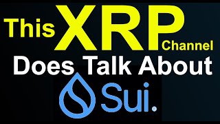 XRP Japan Banks, XDC Major Move, SUI Up 393%, Ripple Partner Futureverse is XRP Rocket Fuel, Tether