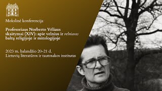 Profesoriaus Norberto Vėliaus skaitymai (XIV). VI sesija