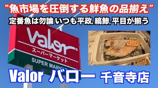 【Valor バロー 千音寺店 魚市場を圧倒する鮮魚の品揃え】いつも平政, 縞鯵, 平目が揃うスーパー あばお 海鮮ちゃんねる #115 2023.09.18