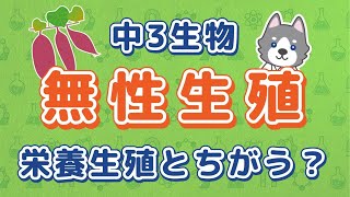 中3理科『3つの無性生殖』＊栄養生殖との違いも解説