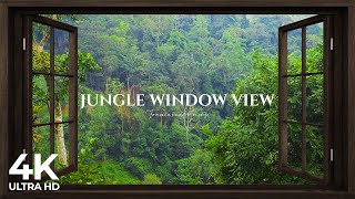 4K Jungle open window view with birds singing - Relaxing, Calming, Ambience, white noise