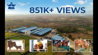 A virtual tour of Mr. Milk 150 acre farm | online milk delivery Pune \u0026 PCMC | a2 milk | Mr.Milk