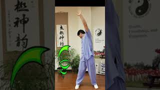 Tai Chi Tidbit #3 Checking