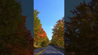 kancamagus highway เป็นเส้นทางชมใบไม้เปลี่ยนสีที่สวยของรัฐ New Hampshire อเมริกา #travelingshorts