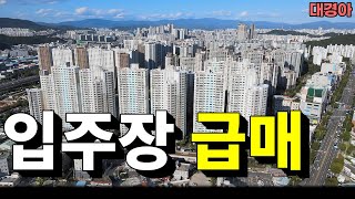 지금 시기에 내집마련 하는 가장 좋은 방법 (feat. 대출 꿀팁)