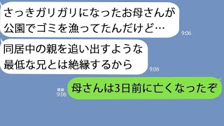 【LINE】兄夫婦と同居中の母が公園でゴミを漁っていた…兄にキレて連絡すると「母さんは３日前に亡くなったぞ」→その裏にはとんでもない秘密が隠されていて…【総集編】