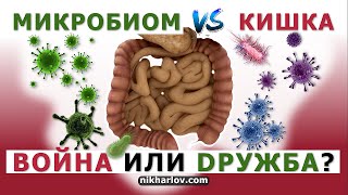 Слизистая оболочка кишечника и микрофлора: дружба или война? Гастроэнтеролог о микробиоме кишечника.