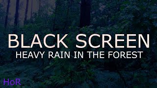 Heavy Rain in the Forest, Rain No Thunder Dark Screen, Rain Sounds For Sleeping by House of Rain