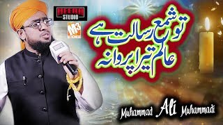 New Naat 2019 | Tu Shamme Risalat Hai | Muhammad Ali Muhammadi I New Kalaam 2019