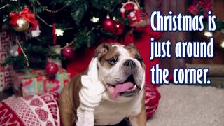 Paws & Claws Pet Supplies Christmas