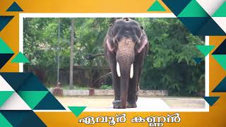 Evoor kannanIഏവൂരുകാരുടെ കണ്ണന്‍IAlappuzhaIEvoor Kannan elephantI