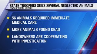 Numerous Animals Seized From North Norwich Home
