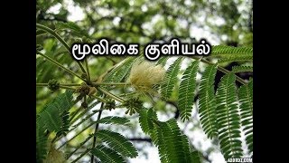 மூலிகை குளியல் -1 || Herbal Bath-1 -- அரப்பு -- Arappu -- Tamil