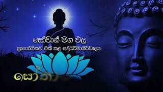 සෝවාන් මග ඵල උදාකරගන්නේ කෙසේද?   ධර්මය තුළින් සෝවාන් තත්වය ගැන විමසන්න සෝතාපත්ති ධර්ම ‍ දේශනා මාළාව.