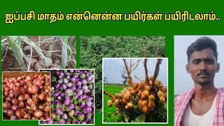 ஐப்பசி மாதம் என்னென்ன பயிர்கள் பயிரிடலாம் | விவசாயம் | nammaoorugoogle