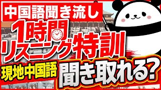 【中国語聞き流し】1時間リスニング特訓 現地中国語聞き取れる？