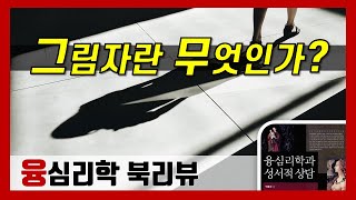 융심리학03_그림자란 무엇인가? 그림자와 콤플렉스(심리학 북리뷰)