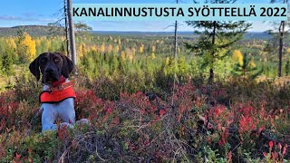 Kanalinnustusta Syötteellä 2022 osa1