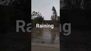 Raining in Hazro #viral #video #shortvideo #shortsvideo #pakistan #shorts #shortsfeed #short #hazro