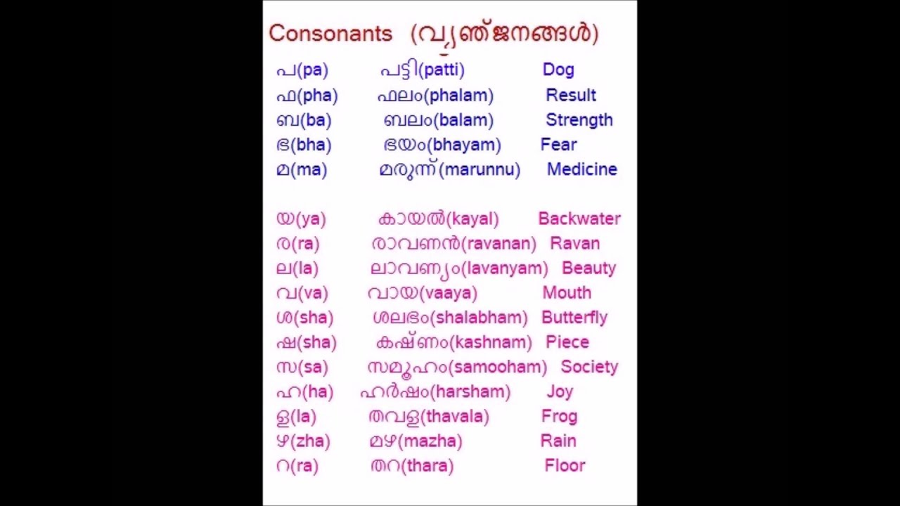 Episode 3 - Learn Malayalam Basics (മലയാളം) - Consonants - YouTube