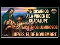 46 ROSARIOS A LA VIRGEN DE GUADALUPE: MISTERIOS LUMINOSOS - GUADALUPANO / JUEVES 14 NOVIEMBRE 2024