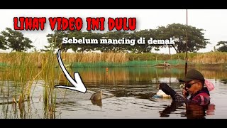 lihat video ini dulu sebelum mancing di Demak!!! Spot potensial . #pecandunyobok