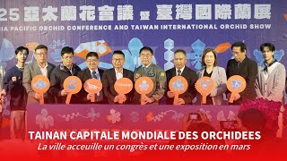 Tainan capitale des orchidées pendant quelques jours | Taiwan actus | RTI