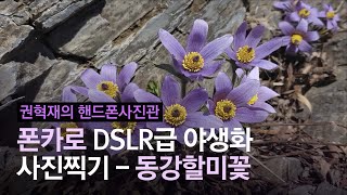 폰카가 DSLR급이 된다... 손거울로 햇빛을 반사시켜보자 | #권혁재의핸드폰사진관