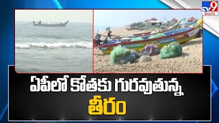 Nellore : ఏపీలో కోతకు గురవుతున్న తీరప్రాంతాలు - TV9