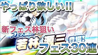 たたかえドリームチーム第172話　やっぱり欲しい！新フェス林狙いでガチャ30連！