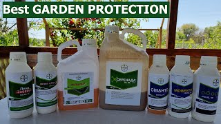 Best Garden Protection