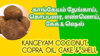 20/02/2025 காங்கேயம் கொப்பரை மற்றும் தேங்காய் விலை | Kangeyam copra and coconut prices