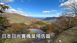 我的日光（Nikko）楓葉Vlog預告篇