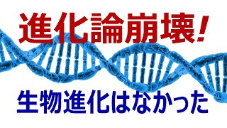 【全編】進化論崩壊！　生物進化はなかった（創造論10　久保有政・解説）