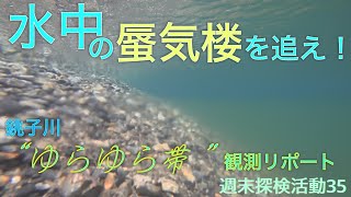 水中の蜃気楼を追え！銚子川“ゆらゆら帯”観測リポート　（週末探検活動35）