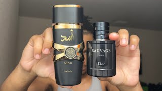 Is THIS The Best CLONE Fragrance? Lattafa Asad Fragrance Review