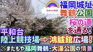 平和台陸上競技場→ 鴻臚館広場　桜の道を通る！　福岡城址舞鶴公園　㉕またもや福岡舞鶴・大濠公園の情景