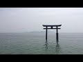 【日本滋賀】近江高島 白鬚神社 白髭神社 鳥居