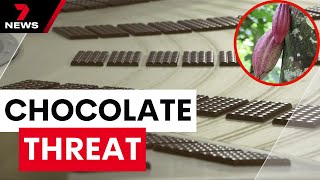 Crippling virus threatens Australia's chocolate supply | 7 News Australia