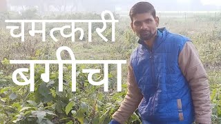 चमत्कारी बगीचा/chamatkari bagicha#Ind irfan vlogs