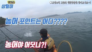 농어 포인트 알아보자!! 기본적인 포인트 설명!