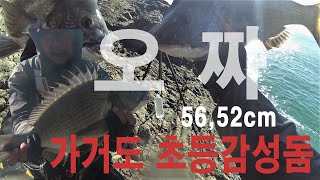 감성돔  가거도 오짜 마릿수  / 전반기 월동처 공략