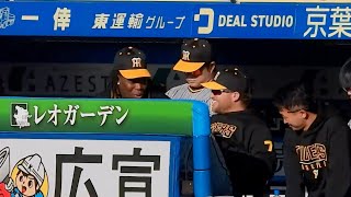 【今日は勝つやろ】ミエちゃん・ノイジーもニッコニコ。終盤リードで久しぶりにベンチでリラックスした表情を見せる阪神ナイン【ロッテ vs 阪神】2024.3.13