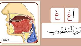 Practicing The Arabic Letters |غ \u0026 خ| Sheikh Ayman Suwaid