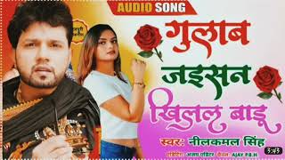 ||Gulab Jason khilal Badu|| neelkamal Bhojpuri song 2023 new