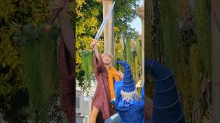 The Sword in the Stone LIVES #magichappens #disneyland