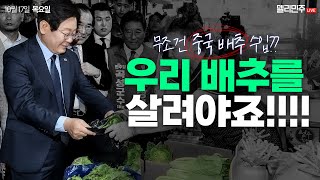 김장철 배추가 '금배추'가 된 이유? 직접 배추밭에 와 봤습니다🥬ㅣ이재명 당대표, 배추값 안정화를 위한 현장간담회 생중계