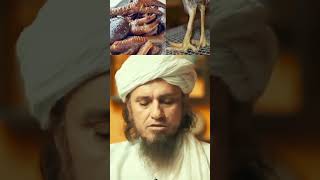 how to eat chicken paws ll क्या मुर्गी के पंजे खा सकते है ll Mufti Tariq masood ll #islam  #shorts